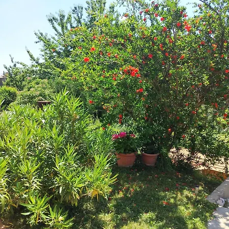 Apartmán Mecsek Vendeghaz