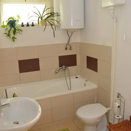 Mecsek Vendeghaz דירה פץ'